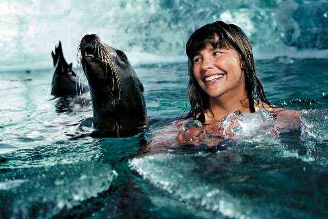 Lynne Cox im Wasser mit einer Robbe