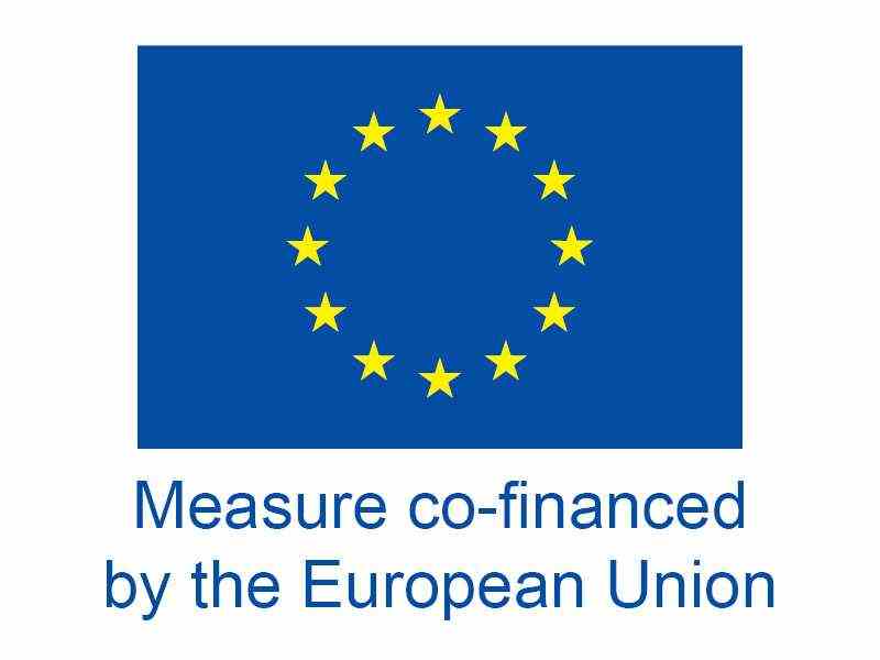 Von der Europäischen Union kofinanzierte Maßnahme
