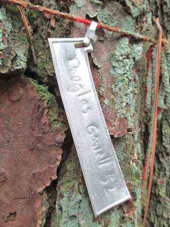 A close up photo of a tree trunk. A small silver metal tag is attached to the trunk with yarn. The tag reads Douglas Gowell '52.