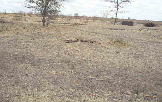 dry land in Tanzania’s Shinyanga region