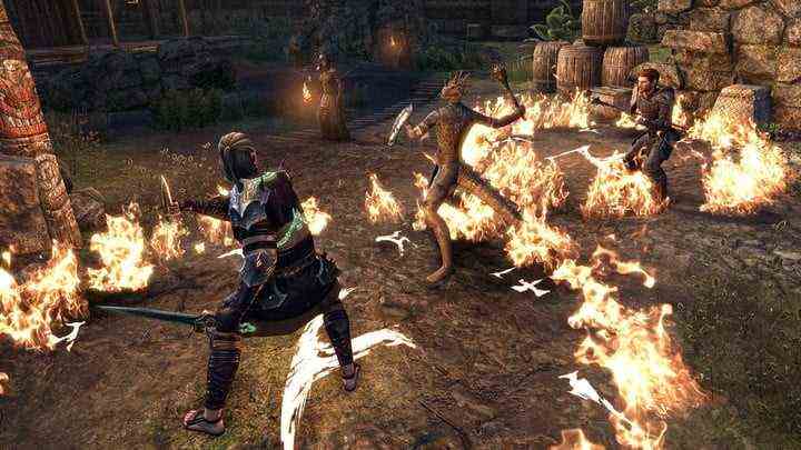 Elder Scrolls Online-Spieler, der mit einem Gefährten kämpft.