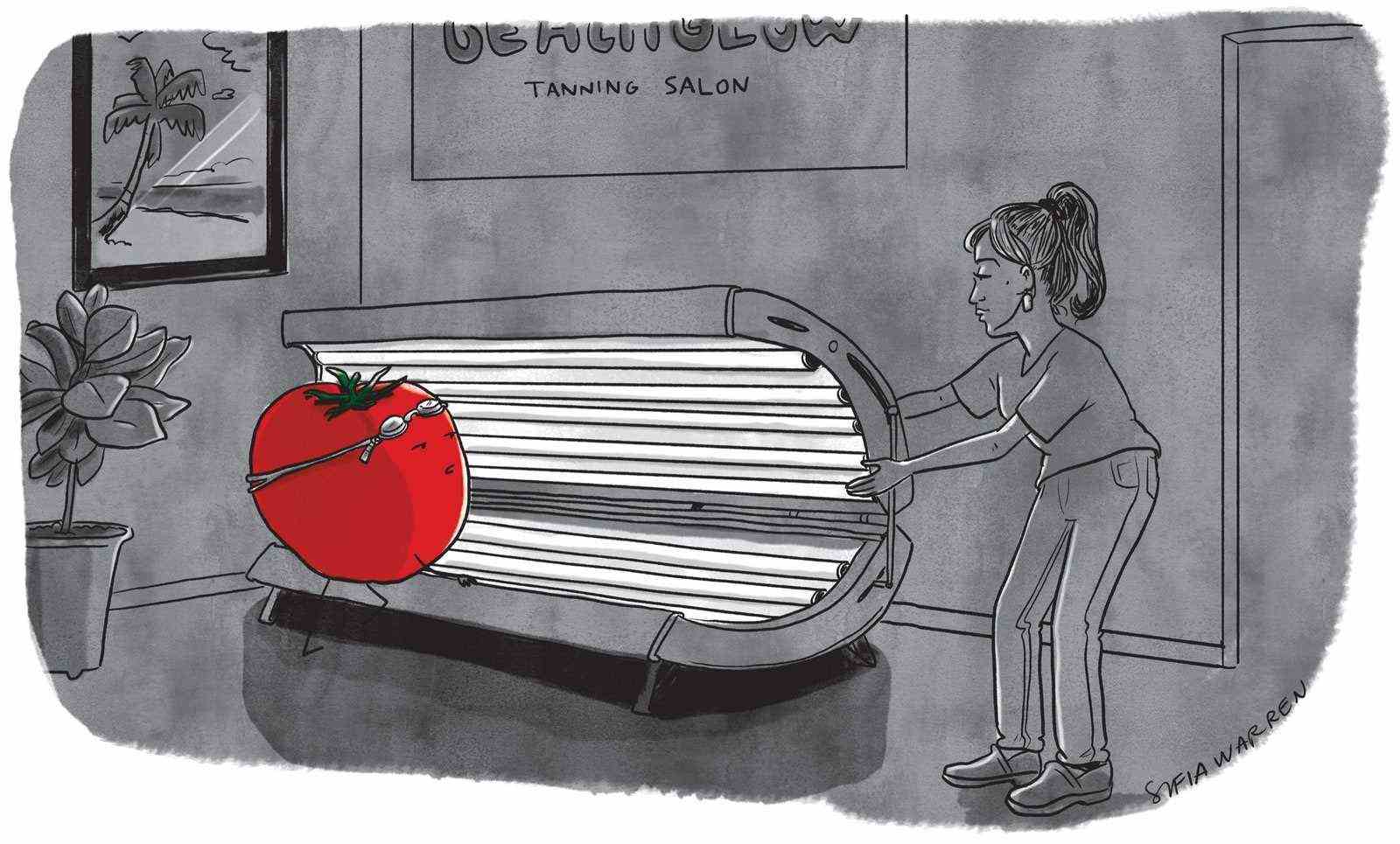 Tomate betritt Solarium in einem Salon.