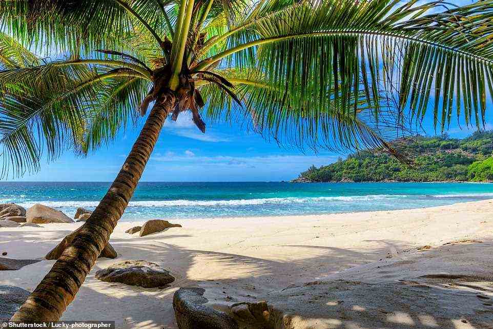 Barbados hat einige der schönsten Strände der Karibik.  Abgebildet ist Paradise Beach