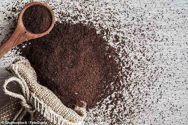 Kaffee könnte in Zukunft milder schmecken, da steigende Temperaturen aufgrund des Klimawandels zu weniger intensiven Bohnensorten führen könnten, zeigt eine Studie.  Bild einer Bildagentur