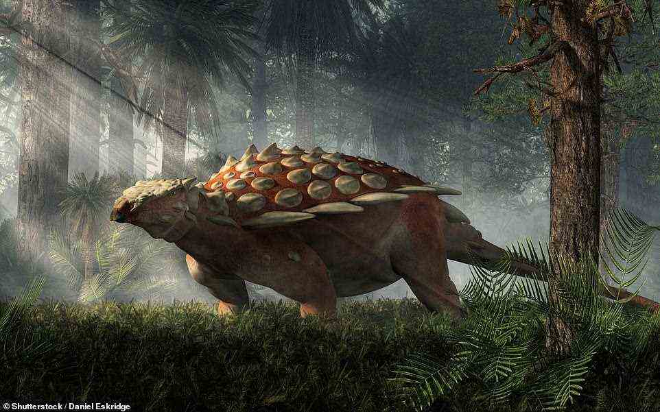 Es ist nicht genau klar, wie Spicomellus afer ausgesehen hätte, aber Forscher sagen, dass es anderen Ankylosauriern ähnlich gewesen wäre (Künstlereindruck abgebildet).