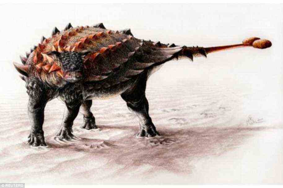 Ankylosaurier lebten zu einer Zeit, als die größten Landraubtiere der Erdgeschichte, darunter T. rex, die Landschaft durchstreiften und andere Dinosaurier mit kräftigen Kiefern und gezackten Zähnen zerstückelten 