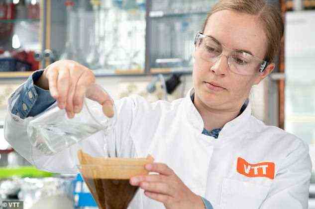 Die Forscherin Elviira Kärkkäinen bereitet eine Tasse im Labor angebauten Kaffee bei VTT in Finnland zu, dem Land, das am meisten Kaffee pro Kopf trinkt