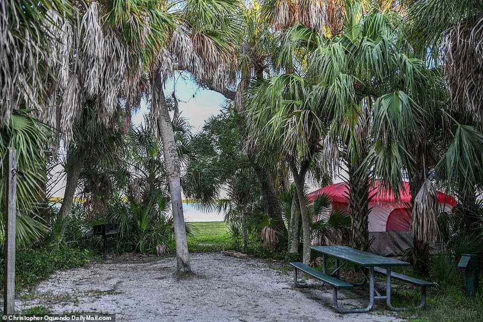 The campsite (pictured) is located in Fort De Soto in Pinellas County, Florida, close to St Petersburg