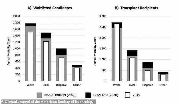 Sowohl bei Kandidaten auf der Warteliste als auch bei Transplantationsempfängern starben weiße Patienten eher an Nicht-Covid-Ursachen und hispanische und schwarze Patienten starben eher an Covid