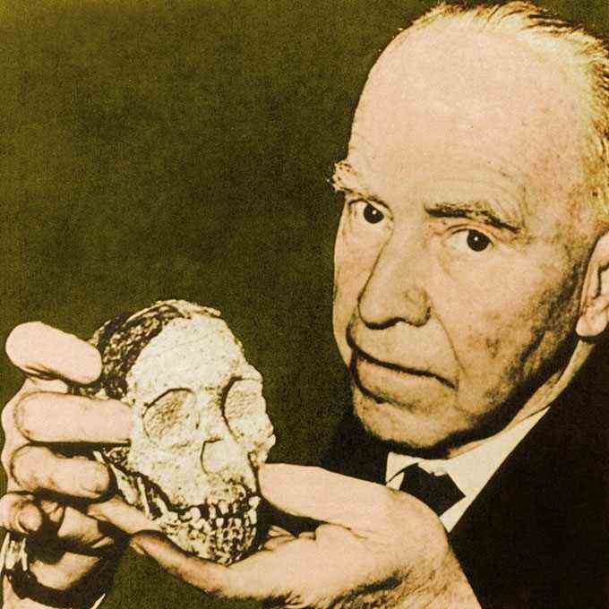 Dart and Tuang skull