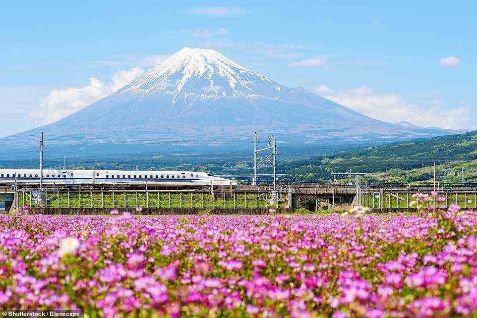 Fahren Sie in Japans Shinkansen-Zügen entlang von Küsten und zwischen Bergen.  Oben passiert der Hochgeschwindigkeitszug den Mount Fuji