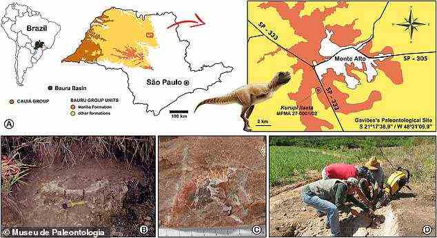Seine Überreste wurden in Monte Alto (im Bild) gefunden, einer Gemeinde im Bundesstaat São Paulo, die eine der reichsten Stätten Brasiliens für Dinosaurierfunde ist