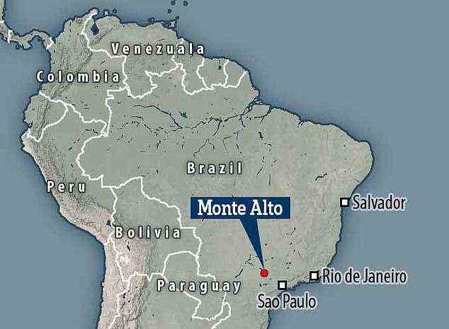 Monte Alto im Bundesstaat São Paulo ist einer der reichsten Orte Brasiliens für Dinosaurierfunde