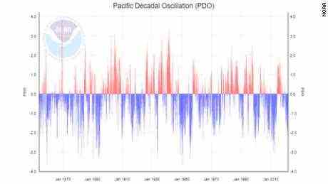 Diese Grafik zeigt die warme (in rot) und die kühle (in blau) Phase der pazifischen dekadischen Oszillation (PDO).  Die Erde befindet sich derzeit in einer kühlen Phase der PDO.