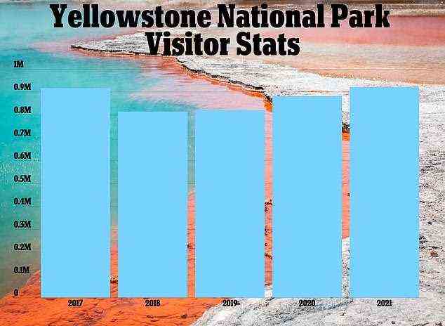 Bislang kamen 2021 mehr Besucher nach Yellowstone als in jedem der letzten drei Jahre.  National Park Services berichteten, dass Yellowstone im Mai 2021 483.159 Erholungsbesuche veranstaltet hat – ein Anstieg von 11 Prozent im Vergleich zum Mai 2019 (434.385 Erholungsbesuche) und dem am meisten besuchten Mai des Parks seit Beginn der Aufzeichnungen