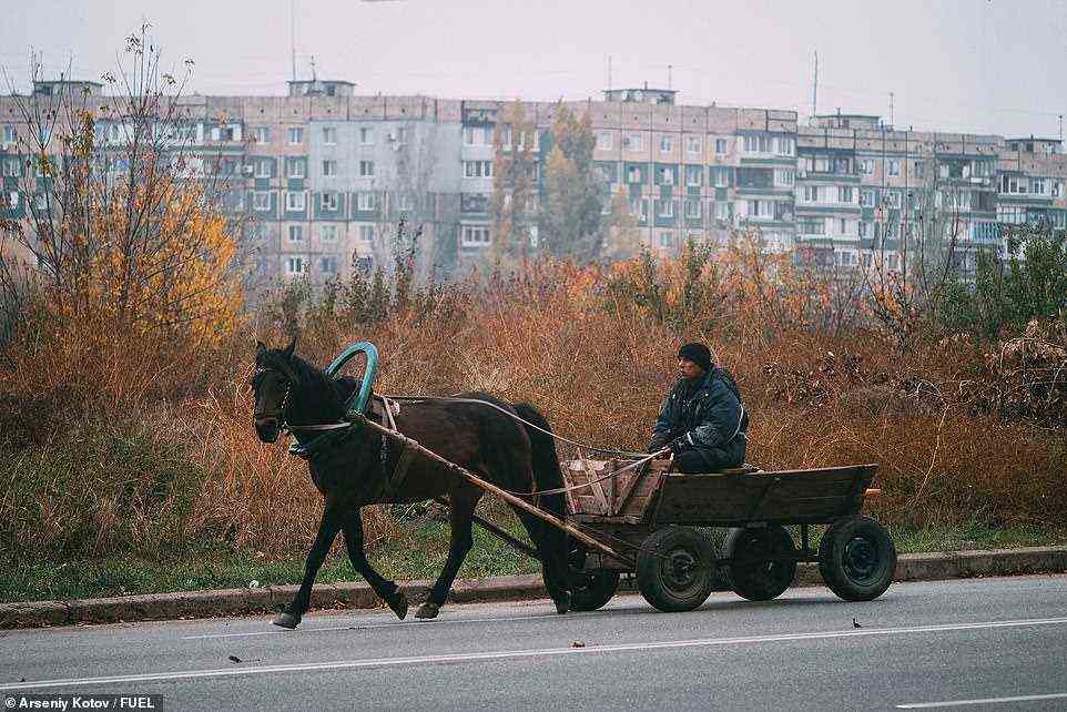 Ein Mann, der ein Pferd und einen Wagen in Krivoy Rog in der Zentralukraine fährt