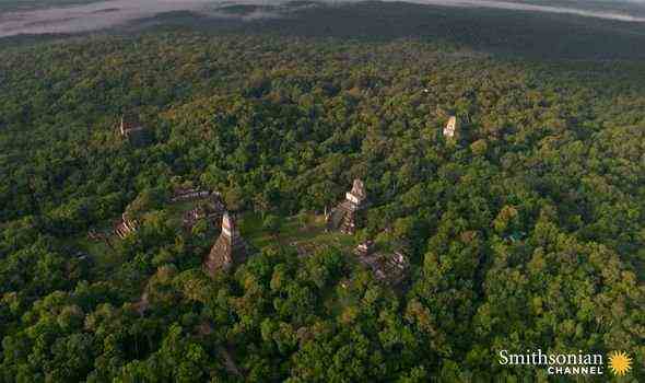 Tikal: Die antike Stadt ist von dichtem Dschungel bedeckt