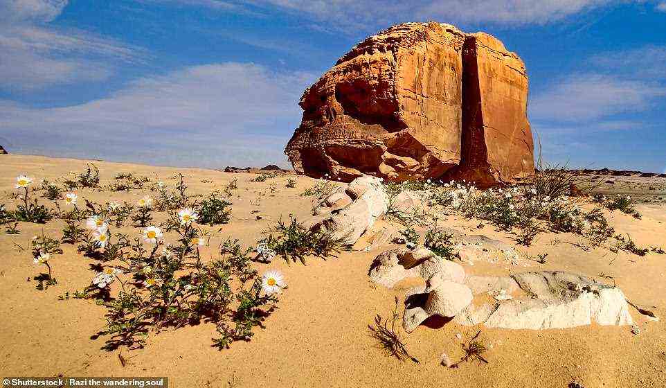 Die Geologin Cherry Lewis sagt, dass die glatte Vorderseite der Felsformation möglicherweise durch einen „Sandsprengeffekt“ entstanden ist.