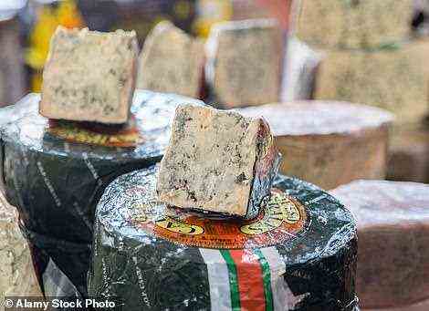 Der abgebildete Cabrales-Käse ist der stärkste und teuerste Blauschimmelkäse der Welt