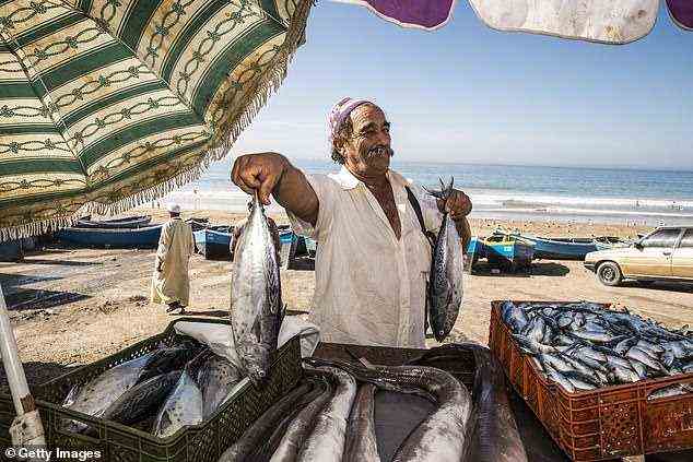 Ein Fischer zeigt seinen Fang am Strand von Taghazout.  Die Bucht begann als Fischerdorf