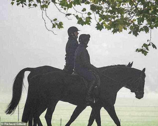 Prinz Andrew schien heute seine Sorgen beiseite zu legen, als er auf einem schwarzen Pferd durch Windsor ritt