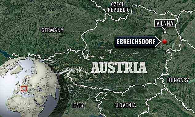 Die Schüssel wurde auf dem Gelände einer bronzezeitlichen Siedlung in der Nähe von Ebreichsdorf, Österreich, etwa 32 km von Wien entfernt, gefunden