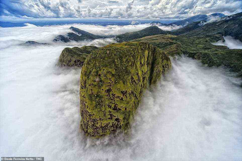Denis Ferreira Netto was taking a helicopter flight through the mountains of the Pico Parana state park in Brazil when he captured this astonishing image, which won second place in the Landscape category. The Brazilian photographer recalls: 'I came across this white cloud cover, which resulted in this magnificent image that resembles the head of a dinosaur'