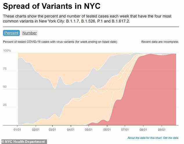 Von Mai bis August dominierte die Delta-Variante (rot dargestellt) die Covid-Fälle in New York City und im Bundesstaat insgesamt vollständig.  Bis Ende August verursachte Delta 99 Prozent der Fälle