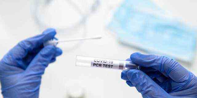 Eine Krankenschwester hält ein Coronavirus-Testkit in einem Labor.  (iStock)