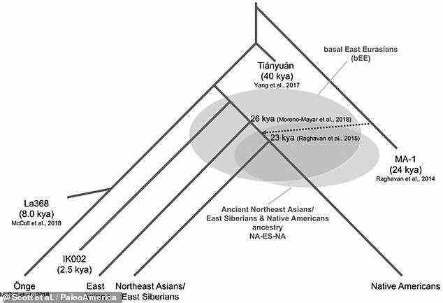 Die Schlussfolgerung wurde durch genetische Analysen gestützt – die auch wenig auf eine Beziehung zwischen den Jomon (IK002 oben) und den frühesten amerikanischen Ureinwohnern hindeuteten