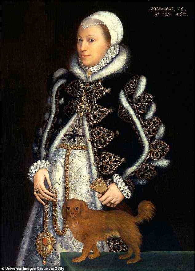 Es wird angenommen, dass Lady Catherine, die von 1524-1569 lebte, in diesem Porträt von Steven van der Meulen aus dem Jahr 1562 dargestellt wurde.  Es wird vermutet, dass sie die uneheliche Tochter von Heinrich VIII. war