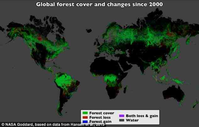 Mithilfe von Landsat-Bildern und Cloud-Computing kartierten die Forscher die weltweite Waldbedeckung sowie Waldverlust und -gewinn.  Über 12 Jahre gingen 2,3 Millionen Quadratkilometer Wald verloren und 309.000 Quadratmeilen (800.000 Quadratkilometer) wieder neu