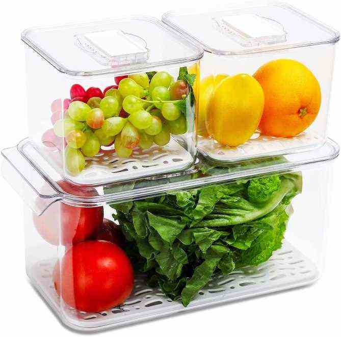 Refsaver Produce Saver Container