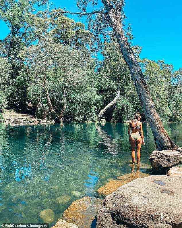 Stony Creek liegt inmitten von Eukalyptus- und Kiefernwäldern und ist über einen kurzen 1 km langen Spaziergang erreichbar, der relativ einfach und für Kinder geeignet ist