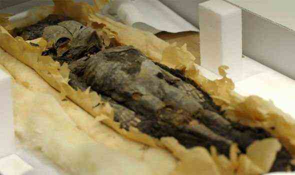 Mumifizierte Überreste: Eines der beiden Kinder mumifiziert gefunden