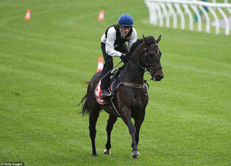 Saturday's event however got off to a tragic start with the announcement Cox Plate winner Sir Dragonet (pictured) had been euthanised following a track work injury just a week before the champion horse was set to defend its crown