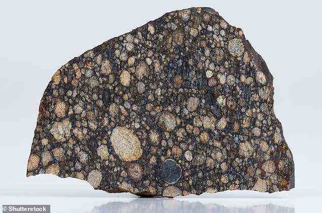 Stock Bild eines Meteoriten mit großen Chondren.  Chondrulen können kleiner als der Durchmesser eines menschlichen Haares sein