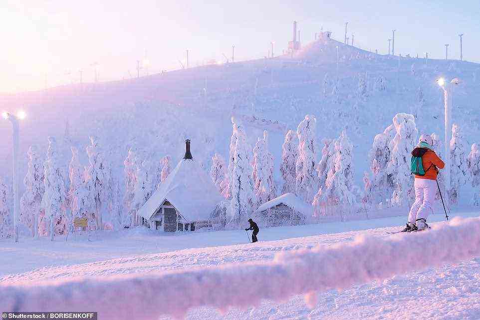 Magisch: Ruka in Finnland ist ein wahres Winterwunderland mit seinen schneebedeckten Bäumen