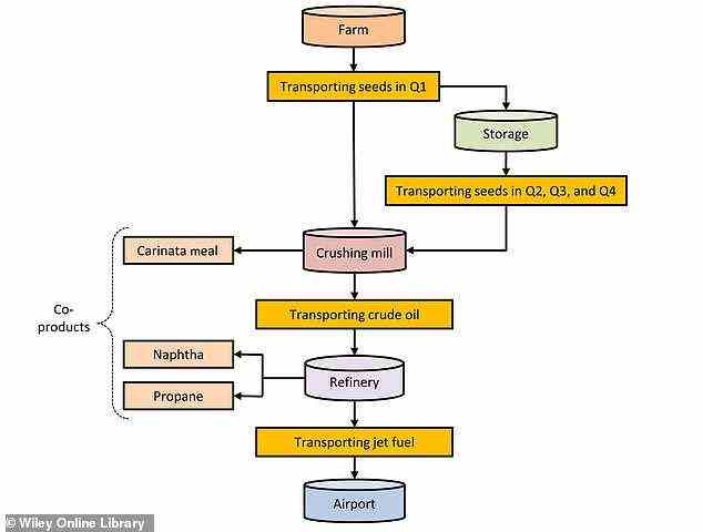 Eine Darstellung des Lebenszyklus von Carinata-basiertem nachhaltigem Flugkraftstoff