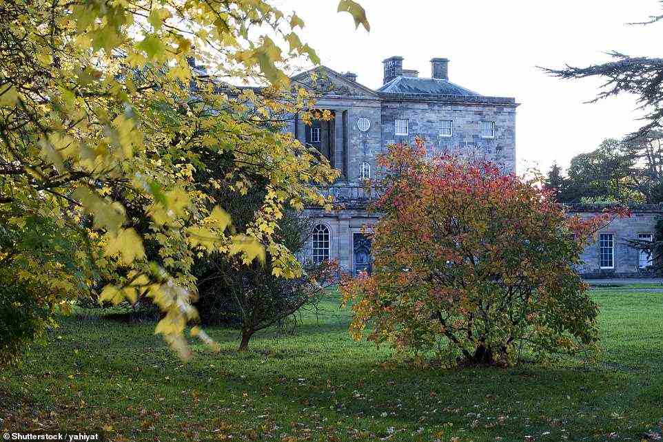 Das Howick Arboretum in Northumberland ist als die Vereinten Nationen der Bäume bekannt, mit mehr als 12.500 Exemplaren, die in sechs geografische Regionen unterteilt sind