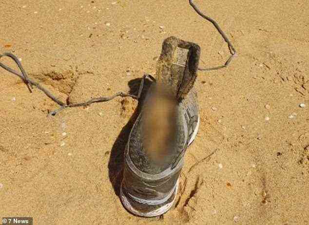 Caddicks Verschwinden löste eine massive Fahndung aus, bis ihr verrottender Fuß (im Bild) im Februar am Bournda Beach, 400 km südlich von Sydney, an Land trieb und sie für tot erklärt wurde