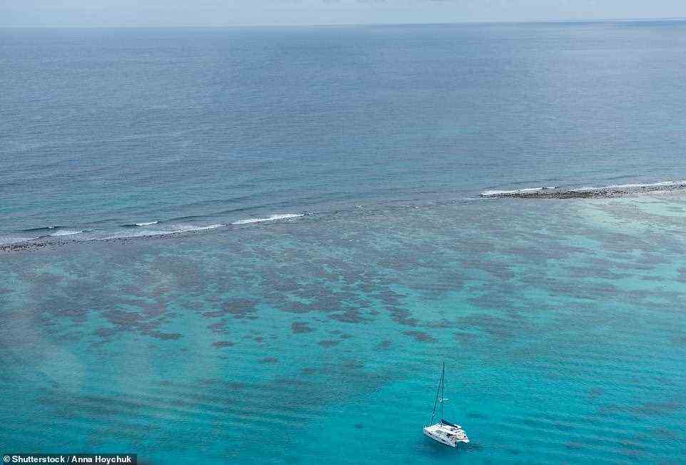 Einheimische sagen, dass das Cades Reef, Teil des National Marine Reserve, der beste Riff-Schnorchelplatz in Antigua ist