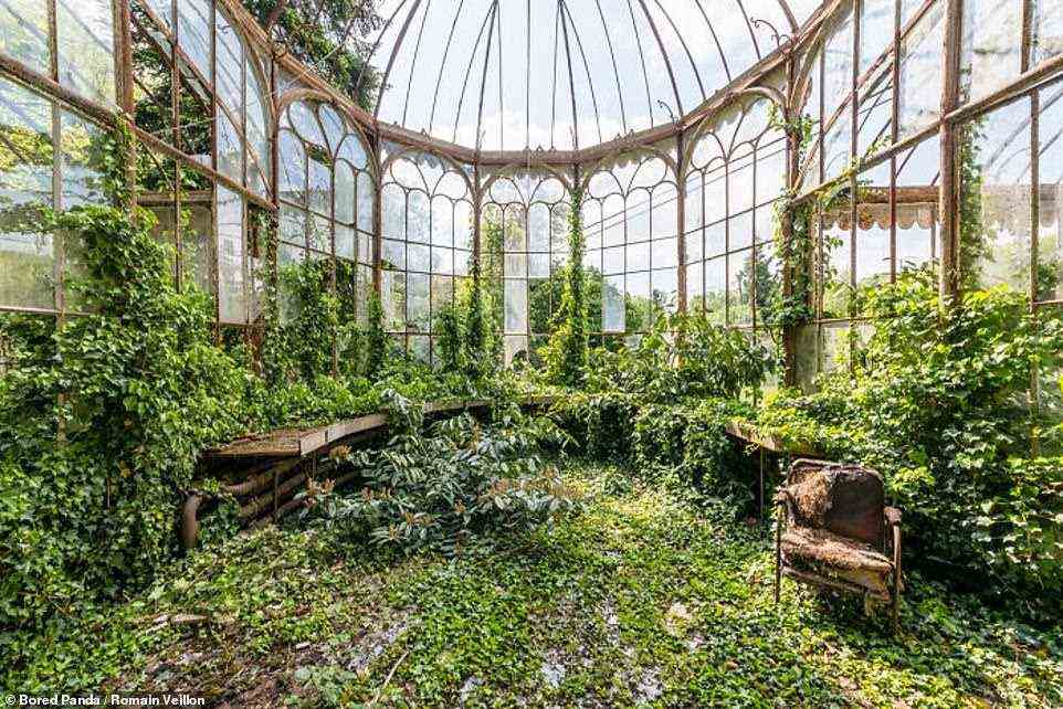 Diese Orangerie in Belgien hat sich die Außenwelt zurückerobert und erfreut sich derzeit daran, dass sie ein perfektes Gewächshaus für alle ihre bewohnenden Pflanzen ist