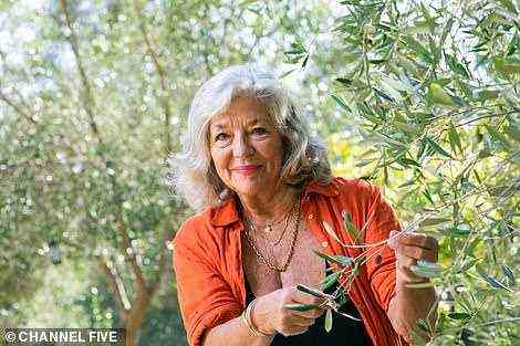 Schauspielerin und Autorin Carol beschneidet die Olivenbäume in ihrem Haus in der Provence