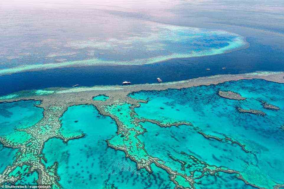 Australiens atemberaubendes Great Barrier Reef, abgebildet, ist Teil der 