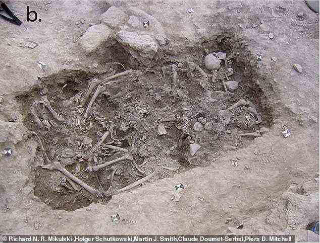 Ein Paar Massengrab mit Dutzenden von Kreuzfahrern aus dem 13. Jahrhundert, von denen einige enthauptet wurden, die im Libanon ausgegraben wurden