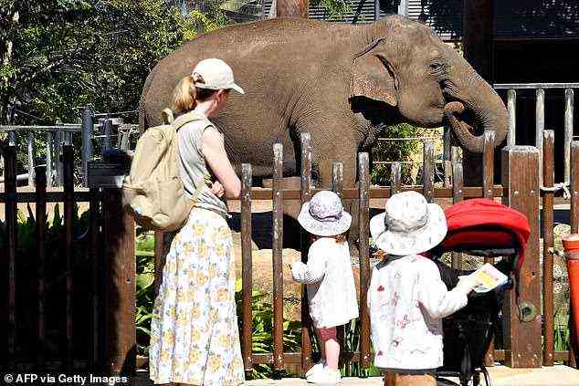 Families watch an elephant in its enclosure at Taronga Zoo in Sydney on October 18, 2021