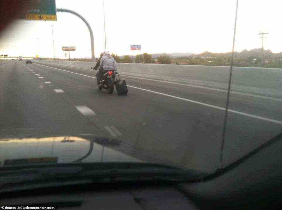 Vielleicht nehmen Sie nächstes Mal ein Taxi!  Ein Motorradpassagier in Südafrika beschloss, seinen Rollkoffer auf dem Weg zum Flughafen mit sich zu schleppen.