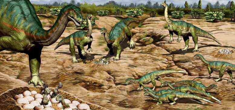 Mussaurus patagonicus Dinosaurier-Nistplatz