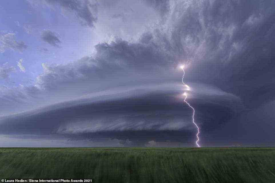 This stunning picture, taken in Kansas, was shortlisted in the Beauty of Nature category. The photographer behind it, Laura Hedien, said: 'The winds made it challenging to make photographs, but what an adrenaline rush. These storms on the Great Plains feel like they are alive. The ebb and flow depending on the atmospheric conditions are so unpredictable and invigorating. When the storms have this appearance, everything is in sync for a crazy day'